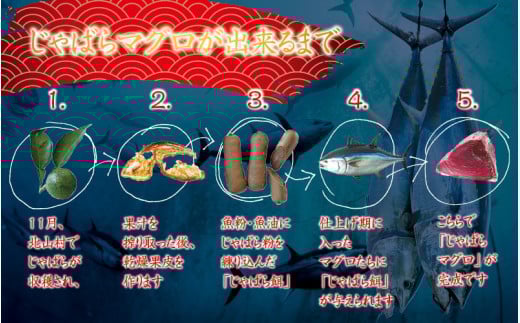 【1ヶ月以内に順次発送】本マグロ トロ＆赤身セット 1kg（養殖） 濃厚な赤身と高級部位トロの鮪好きにはたまらないセット 【串本町×北山村】 高級 クロマグロ まぐろ マグロ 鮪 中トロ 赤身 柵 マグロ中トロ 刺身【nks105B】