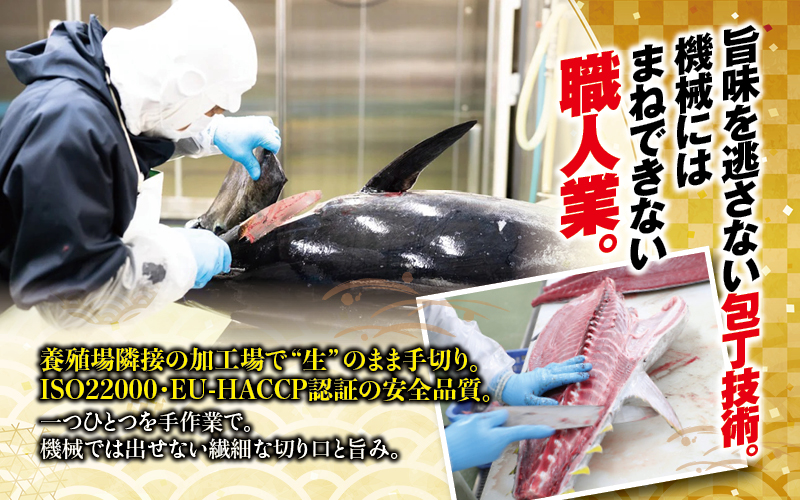 【年内発送受付25日まで！】まぐろ 本マグロ 大トロ&中トロ＆赤身セット 500g（養殖）【お正月予約 12月25日～30日発送】濃厚な赤身と高級部位トロの鮪好きにはたまらないセット 【nks110D-sg】