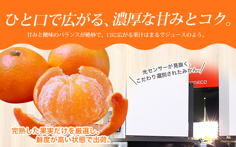 【2027年1月発送予約分】＼光センサー選別／ 農家直送 こだわりの 完熟 有田みかん 約10kg＋150g(傷み補償分) 【ご家庭用】【1月発送】 有機質肥料100% 有田みかん みかん ミカン 蜜柑 柑橘 果物 フルーツ 甘い 温州みかん 先行予約 【nuk101-01A】