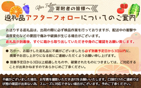 ＼光センサー選別／ 【訳あり】ちょこっと訳あり不知火デコポン 約5kg【ご家庭用】 先行予約 訳あり デコポン みかん ※2026年2月中旬より順次発送予定（お届け日指定不可）【nuk120E】 