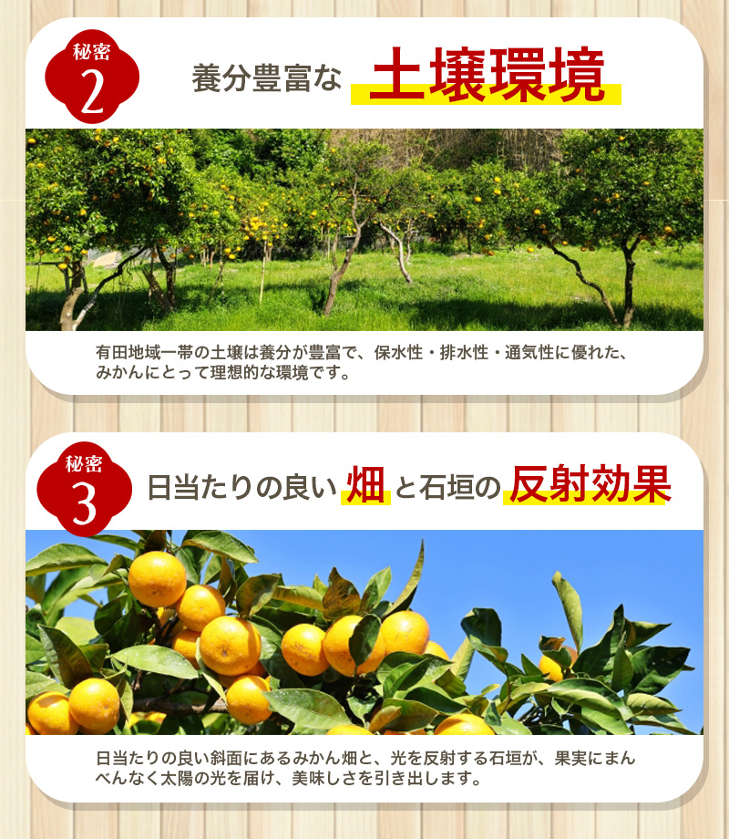 【2026年11月発送予約分】＼光センサー選別／農家直送 こだわりの有田みかん 約5kg＋150g(傷み補償分) 【ご家庭用】【11月発送】みかん ミカン 有田みかん 温州みかん 柑橘 有田 和歌山 ※北海道・沖縄・離島配送不可/みかん ミカン 有田みかん 温州みかん 柑橘 有田 和歌山 産地直送【nuk160-11C】