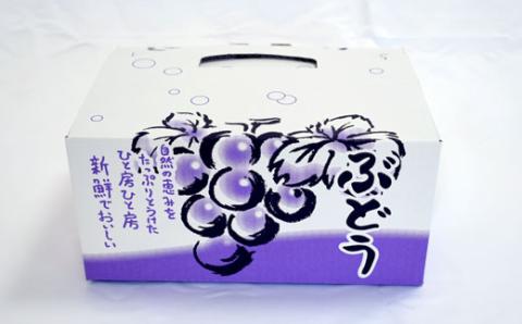 【数量限定】ピオーネと翠峰の夏のおまかせセット約200g×4パック※2023年8月下旬～9月下旬頃順次発送【tec514】