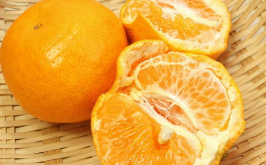 【厳選・濃厚】紀州有田産のはるみ 4kg(2L～3Lサイズおまかせ)※2026年1月下旬～2026年2月中旬頃より順次発送(お届け日指定不可)【tec820B】