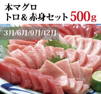 【3か月定期便】うなぎ･高級和牛･マグロ　人気返礼品を3回お届け♪【tkb104】【tkb104】