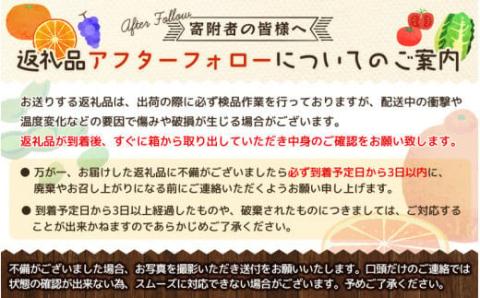完熟有田みかん　10kg　※2024年11月下旬頃～2025年1月下旬頃に順次発送予定(お届け日指定不可)【uot705】