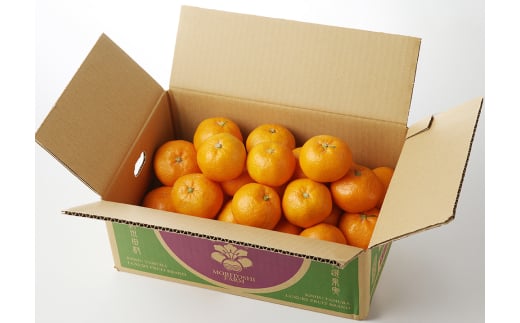 【先行予約】高級ブランド 秀品 紀州有田田村産みかん 3kg ※2025年12月頃～2026年1月下旬頃に順次発送予定 / みかん ミカン 蜜柑 温州みかん 柑橘 フルーツ 果物 【uot848】