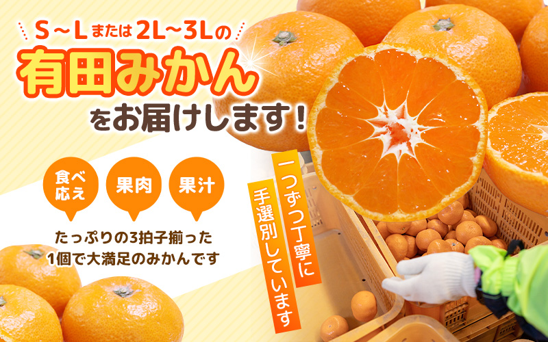 ＼ みかんの名産地 和歌山県産／ 農家直送 大玉 有田みかん 10kg （2L～3L） ひとつひとつ手選別で厳選【2025年11月下旬～1月中旬ごろに順次発送予定】 | みかん フルーツ 果物 くだもの 有田みかん 蜜柑 柑橘【hdm001-2A】