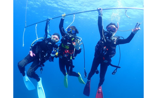 【初心者ダイバー・ブランクダイバー大歓迎】 2ボートダイビング（1名）【ダイバー（Cカード所持者）限定】 スキューバダイビング チケット ダイビング 体験 【kdc001A】