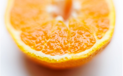 【先行予約】希少種みかん はれひめ 約5kg(25個～30個) 秀品 2026年12月中旬～2027年2月初旬頃に順次発送予定（お届け日指定不可）/ 和歌山 みかん はれひめ フルーツ 柑橘 蜜柑 果物 くだもの【kgr004A】