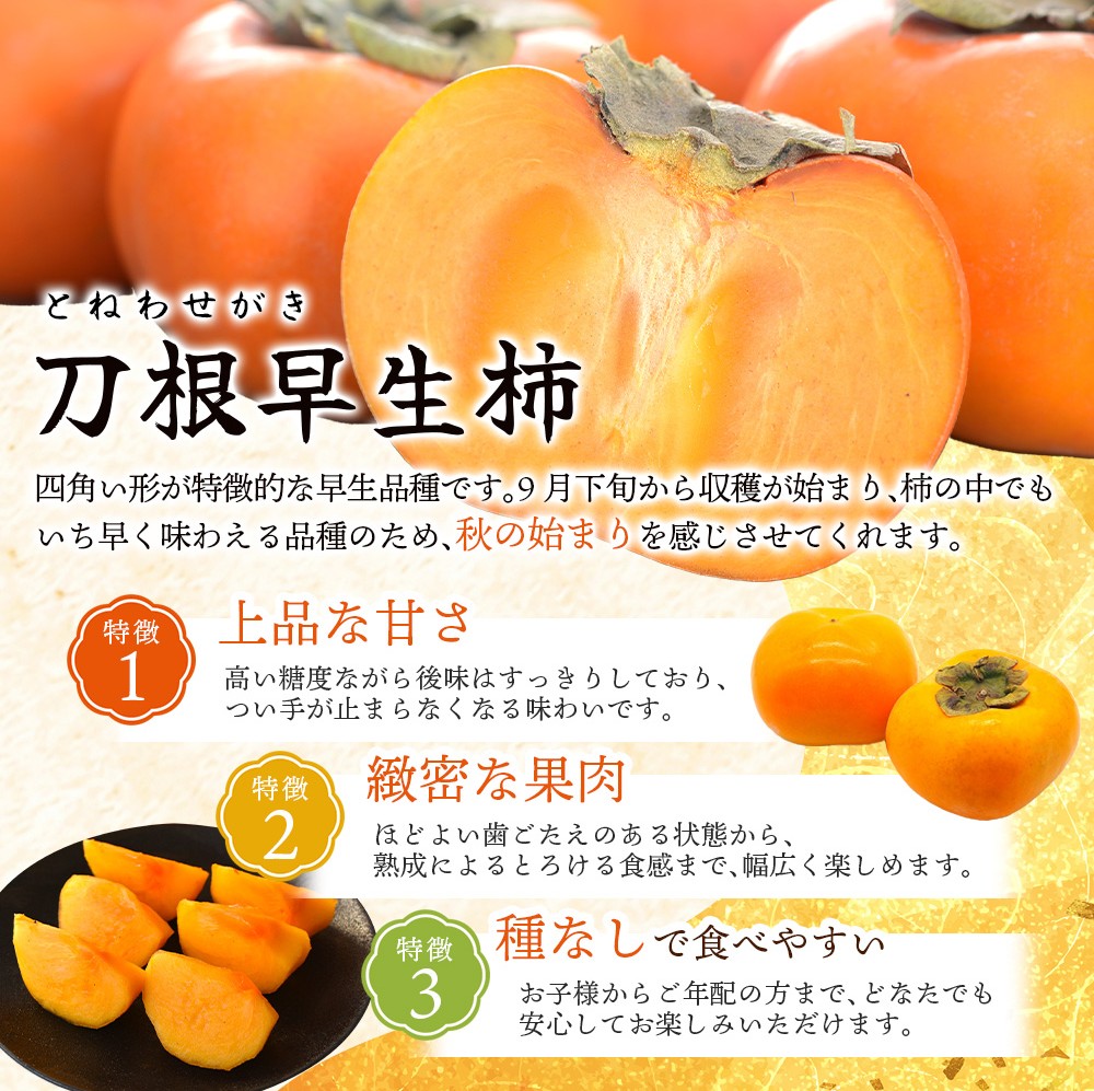 【先行予約】種無し柿 刀根早生柿 秀品大玉 約1.8kg（6個） 2026年9月末頃～10月末頃に順次発送予定（お届け日指定不可）/ 柿 かき 種無し 秀品 大玉 フルーツ 果物 くだもの【kiy002A】