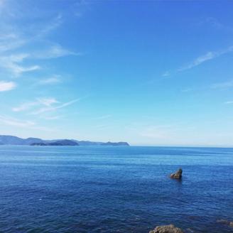 特選天日干しちりめん　木箱入り400g【冷蔵】 無添加 無着色 / しらす シラス ちりめん 冷蔵【mar111】