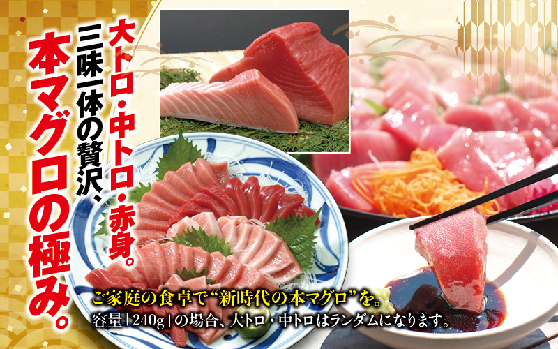 【年内発送受付25日まで！】まぐろ 本マグロ 大トロ&中トロ＆赤身セット 500g（養殖）【お正月予約 12月25日～30日発送】濃厚な赤身と高級部位トロの鮪好きにはたまらないセット 【nks110D-sg】