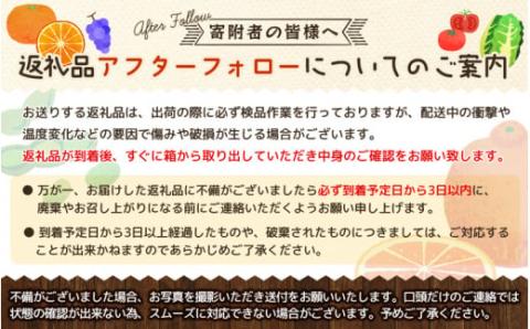 【訳あり】農家直送 有田みかん 約10kg ご家庭用 サイズ混合 ※2025年11月中旬より順次発送予定（お届け日指定不可）※北海道・沖縄・離島への配送不可　訳ありみかん 温州みかんイズ混合 訳ありみかん 温州みかん 有機質肥料100% ふるさと納税 柑橘 有田 産地直送【nuk138H】