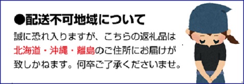 【農家直送】有田みかん 約10kg 大玉サイズ（3L･4L） サイズ混合 有機質肥料100% ※2021年12月初旬～1月中旬に順次発送(お届け日指定不可)【nuk140】