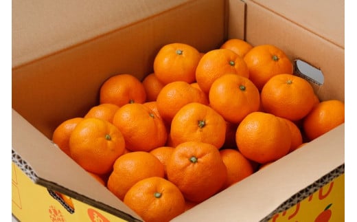 【2026年10月発送予約分】＼光センサー選別／農家直送 こだわりの有田みかん 約2kg【ご家庭用】【10月発送】みかん ミカン 有田みかん 温州みかん 柑橘 有田 和歌山 ※北海道・沖縄・離島配送不可/みかん ミカン 有田みかん 温州みかん 柑橘 有田 和歌山 産地直送【nuk159-10】