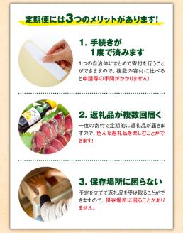 【3か月定期便】本州最南端からお届け♪ 海の幸定期便【tkb121】