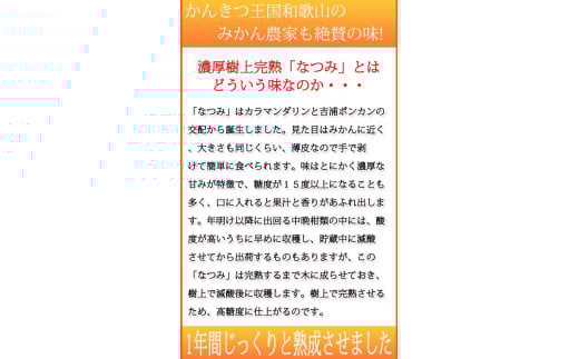 【ご家庭用訳アリ】初夏のみかん なつみ7.5kg　※2026年4月中旬頃～2026年4月下旬頃に順次発送予定(お届け日指定不可)【uot733A】