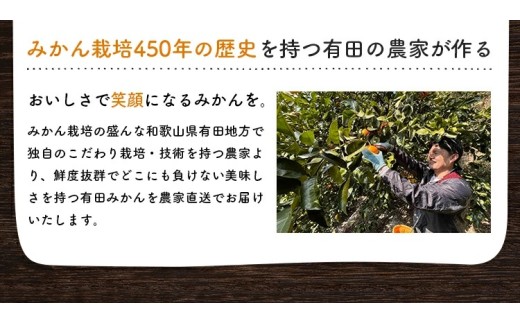 【1月発送】有田育ちの完熟有田みかん 家庭用 サイズ混合(2S～2L)　約10.2kg(10kg+200g)【ard197F-01】