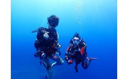 【初心者ダイバー・ブランクダイバー大歓迎】 2ボートダイビング（1名）【ダイバー（Cカード所持者）限定】 スキューバダイビング チケット ダイビング 体験 【kdc001A】