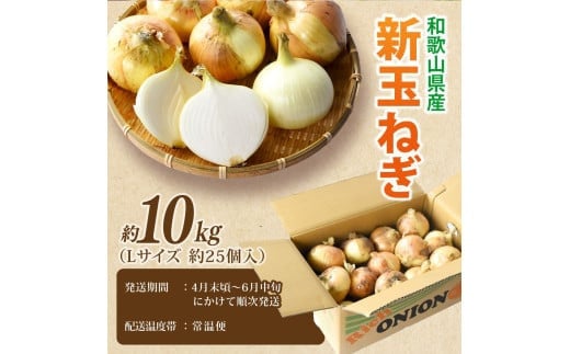 和歌山県産新玉ねぎ約10kg　Lサイズ 約25個入り　こだわり農家厳選！【2026年4月末頃～6月中旬に発送予定】人気 おすすめ たまねぎ 玉ねぎ 玉葱 タマネギ オニオン スープ サラダ 国産 野菜 新鮮 ビッグサイズ 大きい BBQ【kgr033】