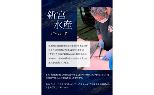 骨なし 無添加 銀シャケ 切身 50g × 28枚 (4枚入り7セット) / サケ 鮭 シャケ 冷凍 おかず 魚 お魚 魚介 海鮮 安心 人気 大容量 小分け ごはんのお供 ふっくら やわらか 美味しい 焼き魚【nss503B】