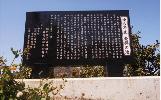 【先行予約】和歌山由良町産 由良早生みかん 約3kg 訳あり キズ 御家庭用 サイズ混合【sml126B】