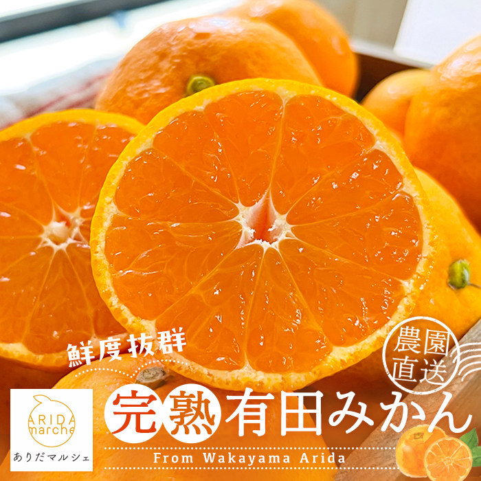 農園直送！完熟有田みかん 約1.1kg+200g 予約 和歌山 有田みかん みかん【2025年12月発送】 【ard002-2B-12】