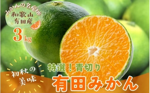 【先行予約】【初秋の美味】【農家直送】特選　青切り有田みかん　約3kg+200g(傷み補償分)【2026年9月中旬～10月上旬頃に順次発送予定】【ard043C】