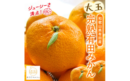 【先行予約】【果汁たっぷり】迫力満点！ 大粒 完熟有田みかん 家庭用 サイズ混合(2L～4L)　約2.7kg(2.5kg+200g)【2026年11月中旬～1月中旬頃に順次発送予定】【ard054D】