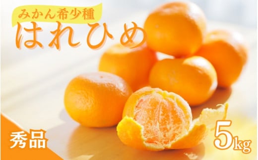 【先行予約】希少種みかん はれひめ 約5kg(25個～30個) 秀品 2026年12月中旬～2027年2月初旬頃に順次発送予定（お届け日指定不可）/ 和歌山 みかん はれひめ フルーツ 柑橘 蜜柑 果物 くだもの【kgr004A】