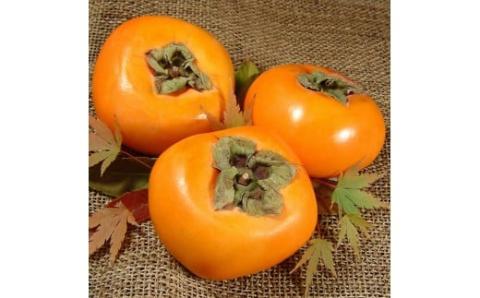 和歌山の 種なし 柿 約7.5kg【秀品：サイズ・品種おまかせ】和歌山県産/紀伊国屋文左衛門本舗　※2026年9月下旬～2026年11月下旬頃に順次発送予定(お届け日指定不可)【kstb801B】