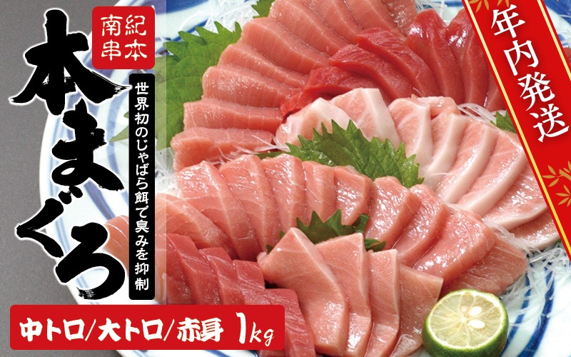 【年末発送予約25日まで！】【お正月予約 12月25日～30日発送】本マグロ トロ＆赤身セット 1kg（養殖） 濃厚な赤身と高級部位トロの鮪好きにはたまらないセット 【串本町×北山村】 高級 クロマグロ まぐろ マグロ 鮪 中トロ 赤身 柵 マグロ中トロ 刺身【nks105B-sg】