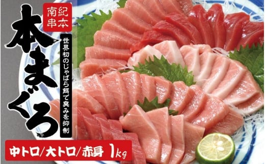 【1ヶ月以内に順次発送】本マグロ トロ＆赤身セット 1kg（養殖） 濃厚な赤身と高級部位トロの鮪好きにはたまらないセット 【串本町×北山村】 高級 クロマグロ まぐろ マグロ 鮪 中トロ 赤身 柵 マグロ中トロ 刺身【nks105B】