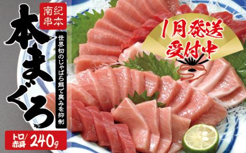 本マグロ トロ＆赤身セット240g（養殖）【1月発送】【配達日指定不可】濃厚な赤身と高級部位トロの鮪好きにはたまらないセット 【串本町×北山村】 高級 クロマグロ【nks113-1】