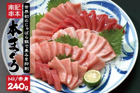 本マグロ トロ＆赤身セット240g（養殖）【2月発送】【配達日指定不可】濃厚な赤身と高級部位トロの鮪好きにはたまらないセット 【串本町×北山村】 高級 クロマグロ【nks113-2】