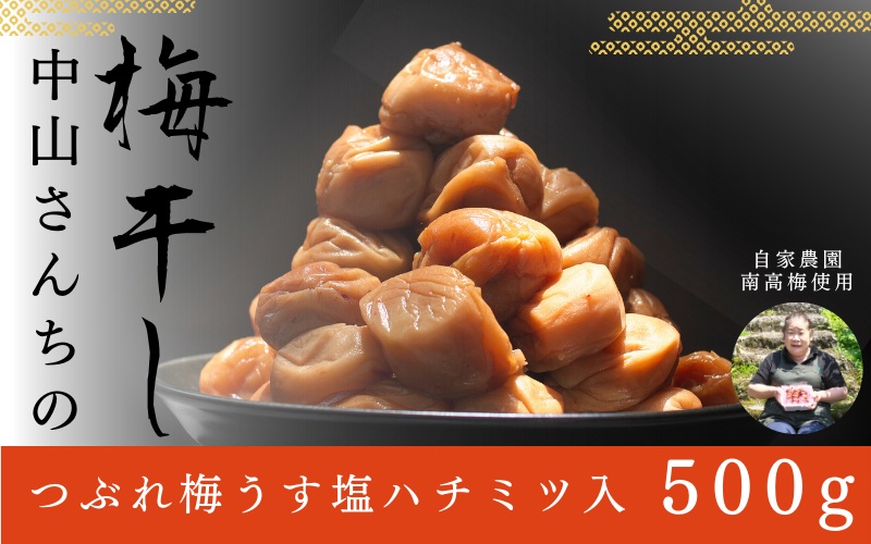 紀州南高梅 つぶれ梅 うす塩【ハチミツ入】塩分10%（500g）なかやまさんちの梅干 梅干し 梅干 梅 うめ ウメ【nky017-105k】
