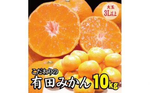 【農家直送】有田みかん　約10kg 大玉3L以上　有機質肥料100%　※2022年12月初旬～1月中旬に順次発送(お届け日指定不可)【nuk119】