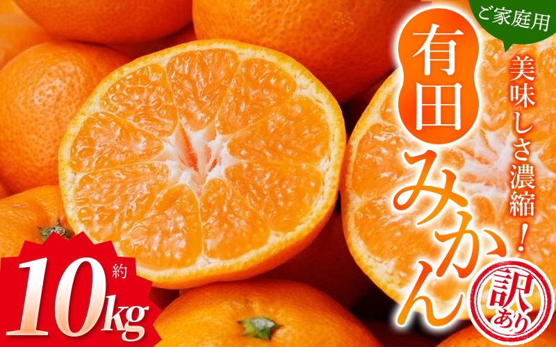 【訳あり】農家直送 有田みかん 約10kg ご家庭用 サイズ混合 ※2025年11月中旬より順次発送予定（お届け日指定不可）※北海道・沖縄・離島への配送不可　訳ありみかん 温州みかんイズ混合 訳ありみかん 温州みかん 有機質肥料100% ふるさと納税 柑橘 有田 産地直送【nuk138H】