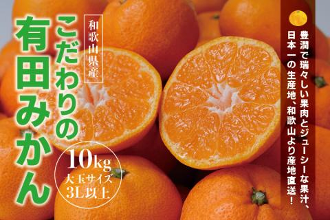 【農家直送】有田みかん 約10kg 大玉サイズ（3L･4L） サイズ混合 有機質肥料100% ※2021年12月初旬～1月中旬に順次発送(お届け日指定不可)【nuk140】