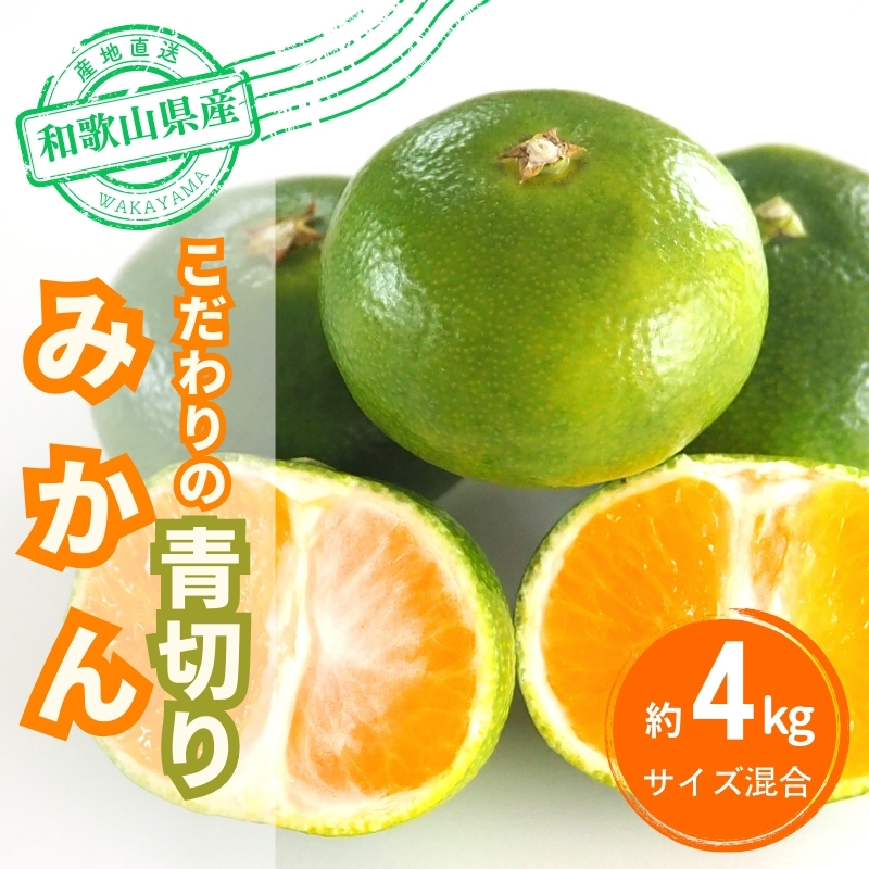 【先行予約】＼有機質肥料100%／ こだわりの青切りみかん 約4kg サイズ混合 【2026年9月下旬頃より順次発送】【nuk142C】