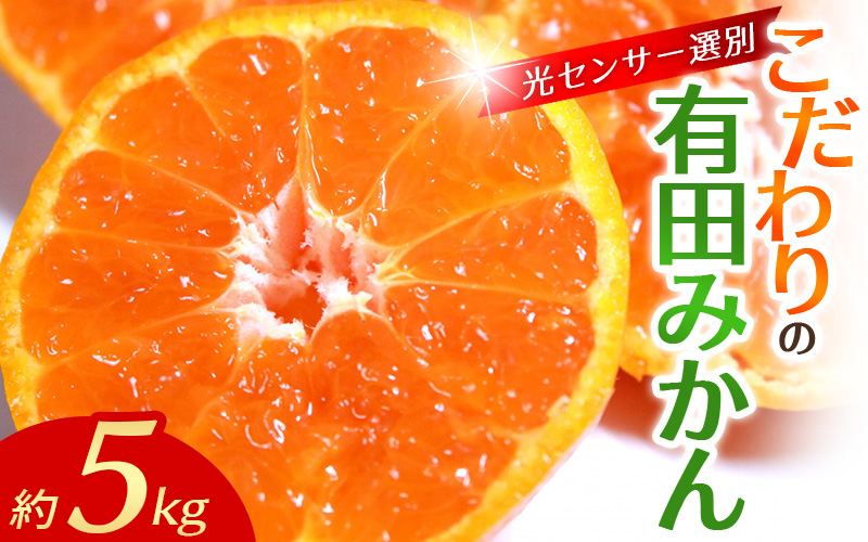 【2026年11月発送予約分】＼光センサー選別／農家直送 こだわりの有田みかん 約5kg＋150g(傷み補償分) 【ご家庭用】【11月発送】みかん ミカン 有田みかん 温州みかん 柑橘 有田 和歌山 ※北海道・沖縄・離島配送不可/みかん ミカン 有田みかん 温州みかん 柑橘 有田 和歌山 産地直送【nuk160-11C】
