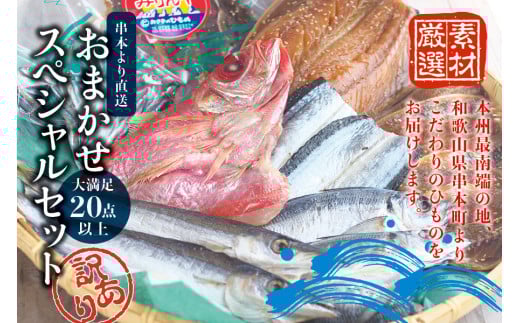 【訳あり干物セット】たっぷり20点以上！おざきのひもの「おまかせスペシャルセット」【冷蔵】/ ひもの 干物 干物セット 個包装 一夜干し 訳あり わけあり【ozk103】