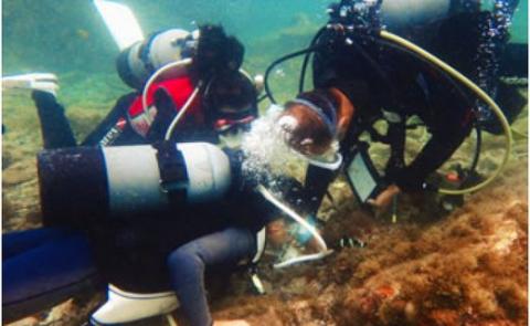 【1名様】体験ダイビング【pol201A】