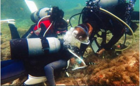 【2名様】体験ダイビング【pol202A】