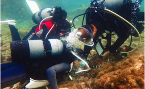 【3名様】体験ダイビング【pol203A】