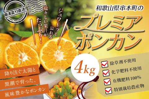 【先行予約】極上！プレミアポンカン 2L～3Lサイズ 4kg 【2026年1月上旬～2026年2月上旬発送予定】 柑橘 ぽんかん フルーツ みかん ミカン オレンジ 限定 旬【sse102】
