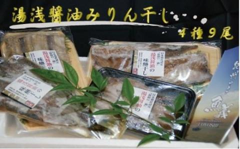 和歌山の近海でとれた新鮮魚の湯浅醤油みりん干し4品種9尾入りの詰め合わせ【tec200A】