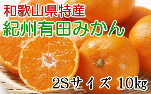 [秀品]和歌山有田みかん　約10kg(2Sサイズ)　※2025年11月中旬～2026年1月中旬頃に順次発送【tec832A】
