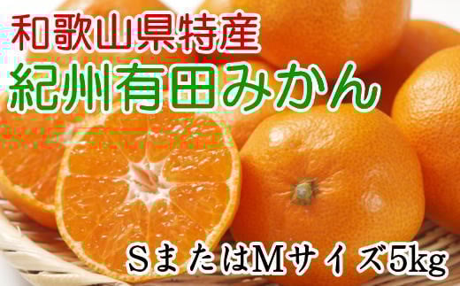 [秀品]和歌山有田みかん　5kg(SサイズまたはMサイズのいずれか) ※2025年11月中旬～2026年1月中旬頃順次発送予定（お届け日指定不可）【tec833A】