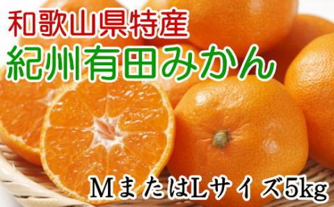 [秀品]和歌山有田みかん　5kg(MサイズまたはLサイズのいずれか) ※2025年11月中旬～2026年1月中旬頃順次発送予定（お届け日指定不可）【tec834A】